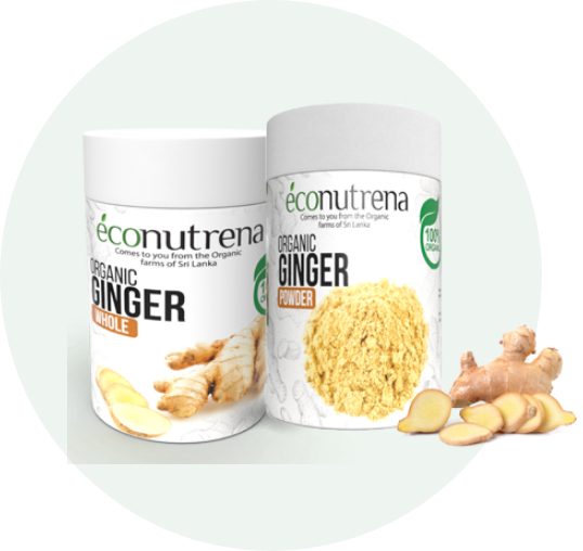 Ginger Product